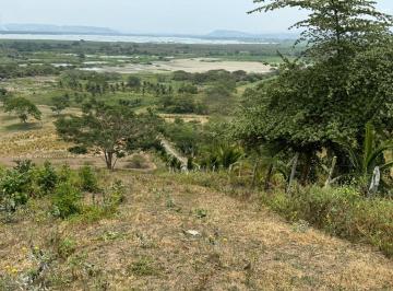 Terreno / Lote , Tosagua · Terreno Agricola y Ganadería de Venta en Tosagua C/p
