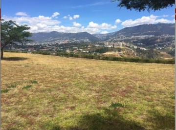 Terreno / Lote · 1250m² · Cumbaya Terreno de Venta en Urb. Privada Linda Vista Sector Colegio Menor