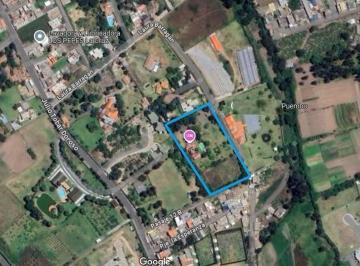 Terreno / Lote · 8299ha · Venta de Terreno Plano en Sector de Puembo