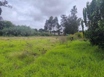 Terreno / Lote , Quito · Tumbaco, Oportunidad Terreno Plano 6500 m², Inversionistas, Constructores, Papeles en Regla