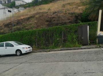 Terreno / Lote · 250m² · Se Vende Terreno en Ceibos Norte