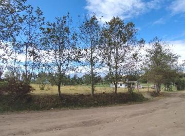 Terreno / Lote · 2500m² · Terreno en Venta en Latacunga Sector Belisario Quevedo