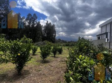 Terreno / Lote · 689m² · Terreno en Venta en Puembo Urb. Privada Excelente Ubicación