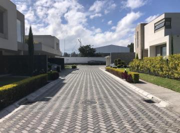 Terreno / Lote · 1m² · Terreno de Venta en Tumbaco, a Tres Cuadras de La Ruta Viva. Urbanización Cerrada