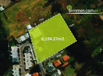 Terreno / Lote · 6194m² · Terreno Independiente de Venta en Tumbaco 6,194.27 m², Sector Tola Grande