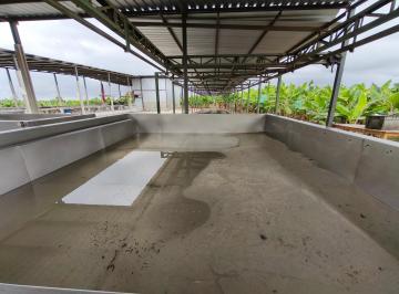 Hacienda-Quinta , Guayaquil · Hacienda Tecnificada Cerca de Guayaquil de 80 Hm en Venta San Juan, Via San Antonio Agua Todo El Año