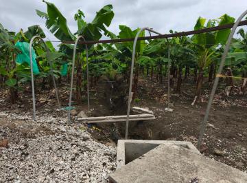 Hacienda-Quinta , Guayaquil · Hacienda Tecnificada Cerca de Guayaquil de 80 Hm en Venta San Juan, Via San Antonio Agua Todo El Año