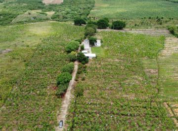 Hacienda-Quinta , Guayaquil · Hacienda Tecnificada Cerca de Guayaquil de 80 Hm en Venta San Juan, Via San Antonio Agua Todo El Año