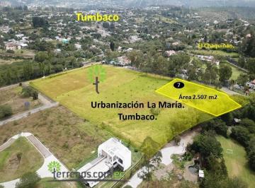 Terreno / Lote · 2504m² · Venta Terreno Bifamiliar 2.504 M².tumbaco.