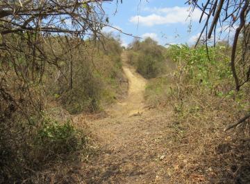 Terreno / Lote de 1 habitación, Cerecita · Vendo Via Guayaquil - Salinas - Cerecita - Aguas Verdes - Pocitos