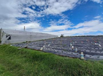 Terreno / Lote , Quito · Terreno en Venta 2.2 Hectáreas en Yaruquí