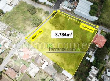 Terreno / Lote · 3784m² · Terreno Independiente de Venta 3.784 m² en Nayón
