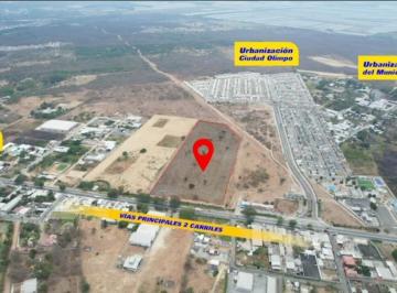 Terreno / Lote , Guayaquil · Vendo Terreno 60,000 m² en Chongón, a 300 m de Vía a La Costa