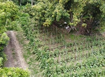 Terreno / Lote , Quito · Vendo Terreno en Guayllabamba - Coop. Doña Ana