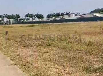 Terreno / Lote · 1244m² · Alquiler de Terreno Comercial Rellenado La Joya
