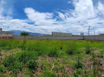 Terreno / Lote · 630m² · Terreno en Venta Tumbaco