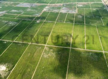 Terreno / Lote · 145m² · Inversión Estratégica: 145ha de Alta Productividad Ideal Cacao, Caña, Banano. Dian