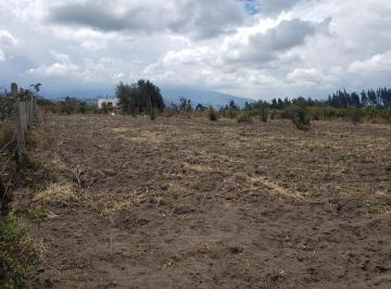 Terreno / Lote · Terreno Plano en Montalvo