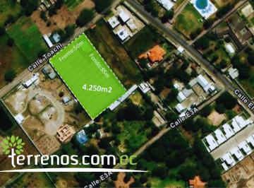 Terreno / Lote · 4250m² · Terreno Independiente de Venta de 4.250 m² Tumbaco