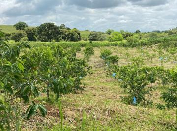Hacienda-Quinta , Pedro Carbo · Se Vende Finca Tecnificada de 27.7 Hectáreas – Pedro Carbo
