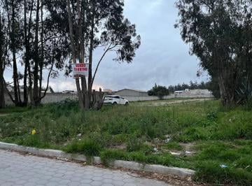Terreno / Lote , Quito · Terreno - Venta - Calderon - Quito - Norte
