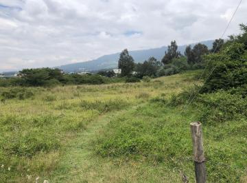 Terreno / Lote · 51639m² · Terreno en Lumbisi
