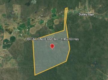 Terreno / Lote · 14620000m² · Venta de Terreno en Santa Elena, Comuna Sube y Baja. 1.462ha G. P