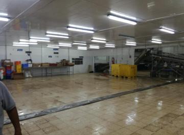Oficina comercial · 1551m² · De Venta en Guayas Empacadora de Camarón