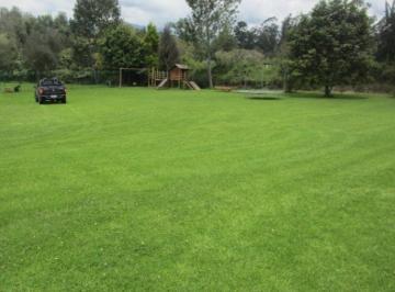 Terreno / Lote en Venta Puembo · Venta 4000 m² en Puembo, Fácil Salida a Ruta Viva