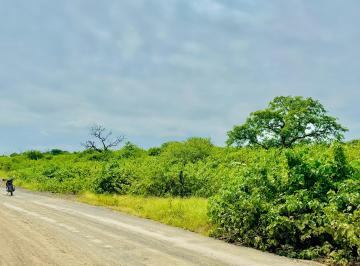 50 ha Huásimo · Venta de Terrenos Agricolas y Ganadero en Loja Zapotillo