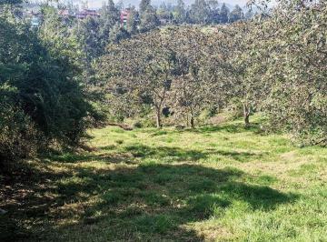 Terreno / Lote , Quito · Terreno en Venta Residencial Centro Alangasí 3757 m
