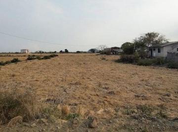 Terreno / Lote , Daule · Terreno en Venta, Via Salitre, Guayas, Ecuador - C. Garcia