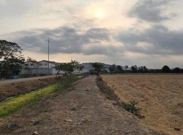 Terreno / Lote , Daule · Terreno en Venta, Via Salitre, Guayas, Ecuador - C. Garcia