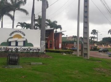 Terreno / Lote , Daule · Este Terreno en La Urb. Santa Maria de Casa Grande Esta Listo Para La Compra