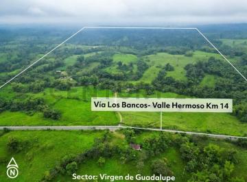 Terreno / Lote · 400m² · 3 Habitaciones · 20 Estacionamientos · En Venta Finca de 138 Hectáreas, Vía Los Bancos Valle Hermoso Km 14