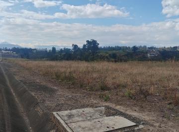 Terreno / Lote , Quito · Arriendo Terreno en Pifo a La Vía Principal