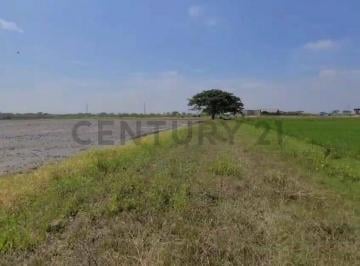 Terreno / Lote · 1698m² · Terreno en Venta Lotización Buijo, Samborondón