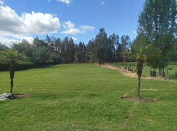 Terreno / Lote , Quito · Venta Terreno Plano Independiente Tumbaco José Vinueza Ruta Viva La Morita Proyecto