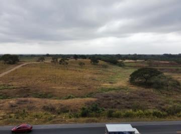 Hacienda-Quinta de 3 habitaciones, Isidro Ayora · Hacienda Agrícola - Ganadera en Venta - Isidro Ayora - N. Dorado