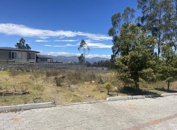 Terreno / Lote · 1000m² · Terreno Independiente en Venta Llano Chico, Av Simon Bolivar