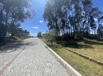 Terreno / Lote · 1000m² · Terreno Independiente en Venta Llano Chico, Av Simon Bolivar