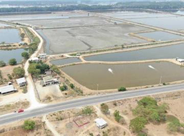 Terreno / Lote , Tosagua · Camaronera de Venta en Tosagua Manabi Ar