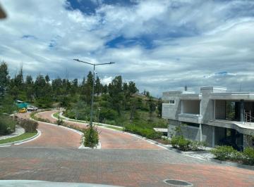 Terreno / Lote · 1000m² · Venta Terrenos Tumbaco Sector Collaqui