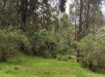 Terreno / Lote , Quito · En Alangasí Vendo Terreno con Alta Plusvalía en Corto Tiempo