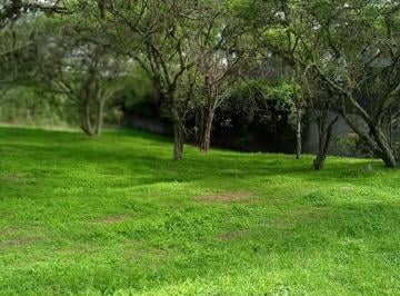 Terreno / Lote , Quito · Lindos Terrenos en Urbanización Exclusiva