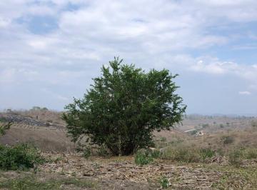 Terreno / Lote , Portoviejo · Terreno en Venta – Sector El Zapallo, Portoviejo