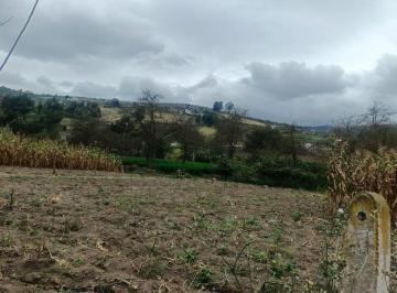 Terreno / Lote · 2500m² · Terreno Plano Sector Martínez