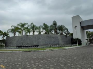 Terreno / Lote , Guayaquil · Terreno en Urb. Lisola Esta Listo Para La Compra