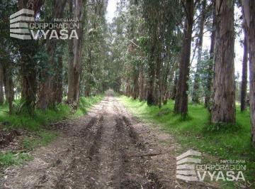 Terreno / Lote · 75000m² · Tababela - Junto Al Aeropuerto, Terreno de 7,50 Hectáreas