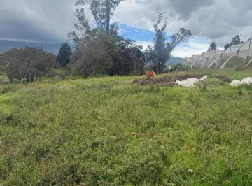 Terreno / Lote · 10565m² · Terreno - Yaruqui